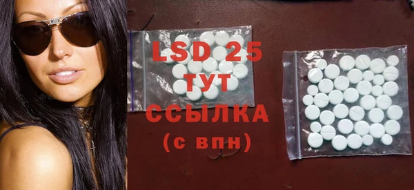 шишки Новозыбков