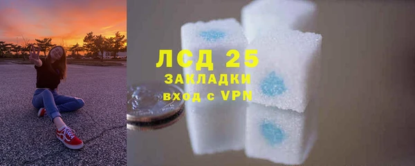PSILOCYBIN Няндома