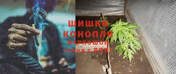 шишки Новозыбков