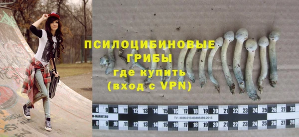сатива Струнино