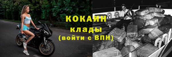 PSILOCYBIN Няндома