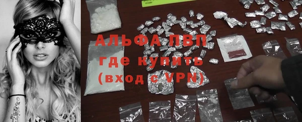 прущий лед Богданович