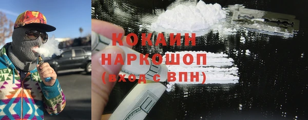 PSILOCYBIN Няндома
