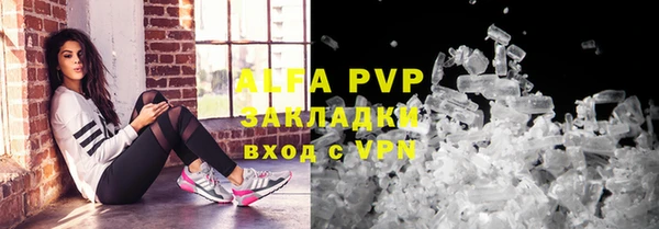 шишки Новозыбков