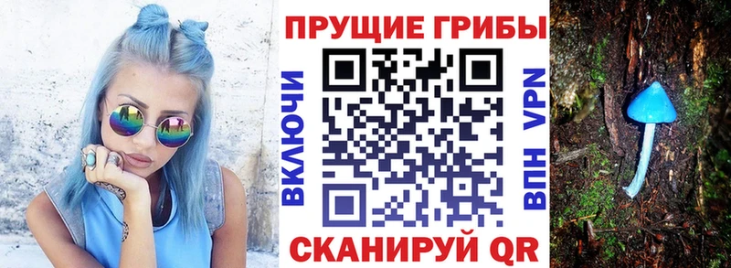 Псилоцибиновые грибы мицелий  сайты даркнета состав  Никольск  где продают  